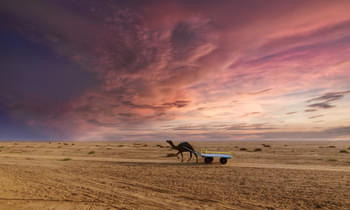 1585055594_shutterstock_700625821